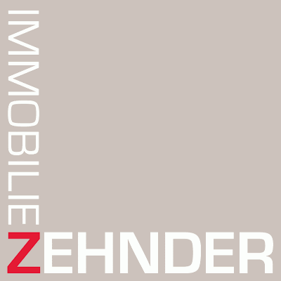 Fabian Zehnder - Agente Immobiliare a Birmenstorf