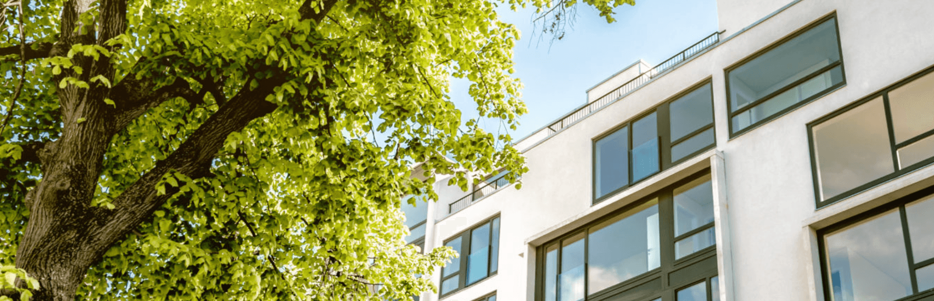 Wegelin Immobilien AG - Immobilienagentur in Aadorf