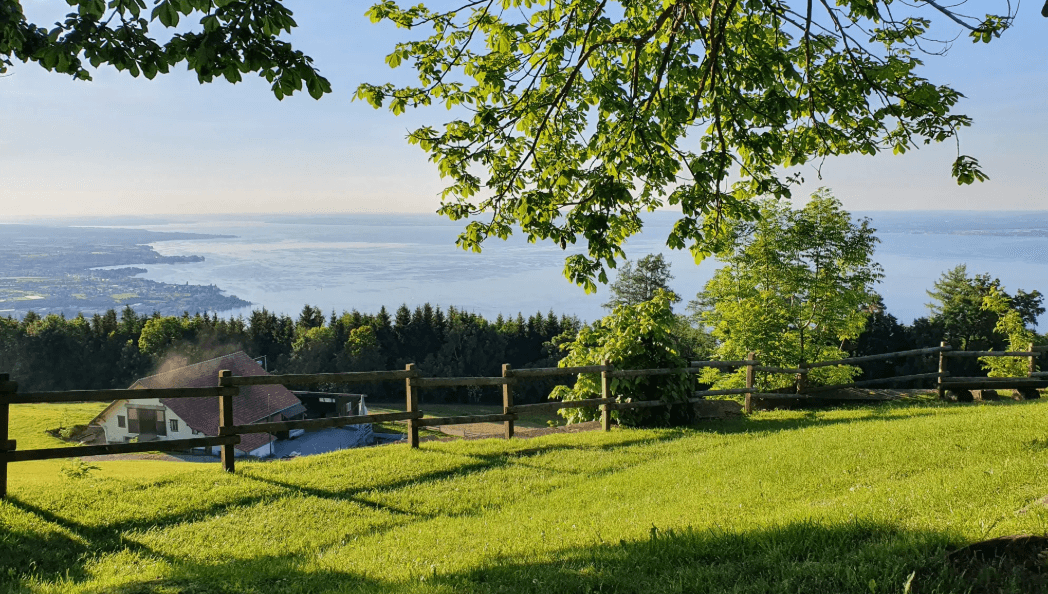 Manuel Jarjour - Immobilienmakler in Rorschacherberg