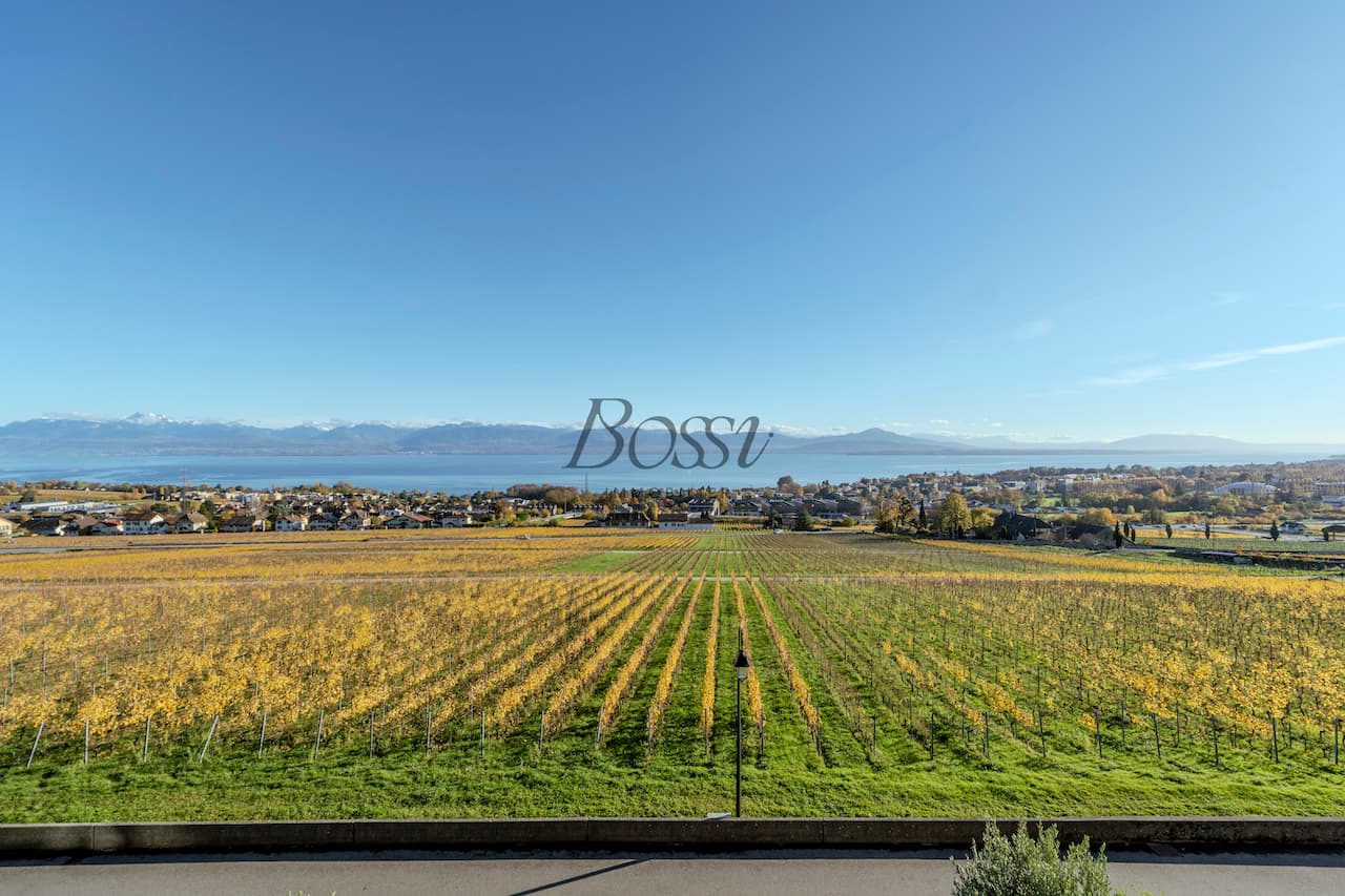 Bossi Immobilier - Agence immobilière à Nyon