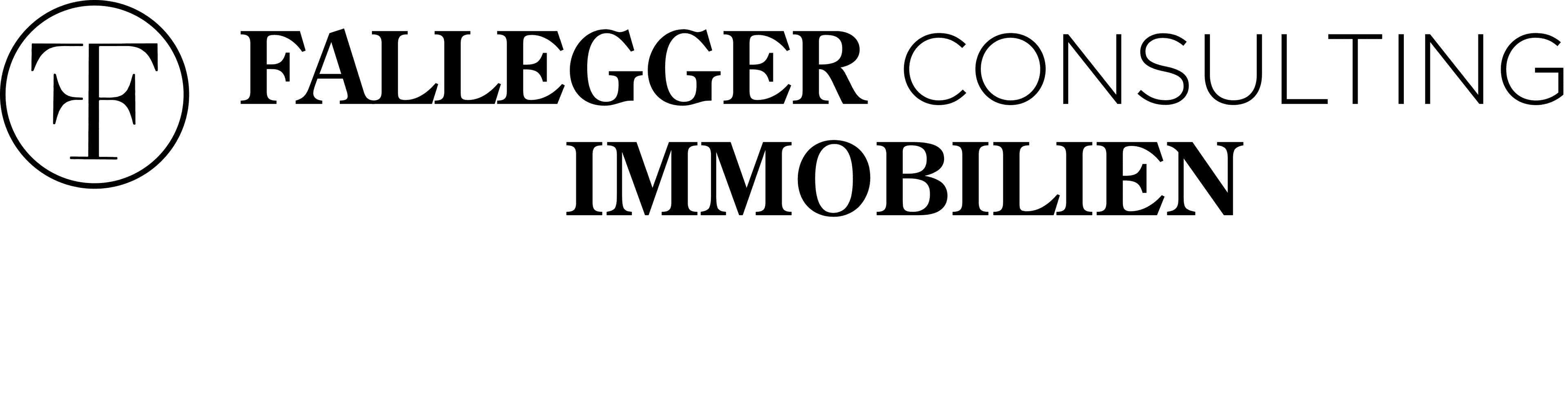Fallegger Consulting GmbH