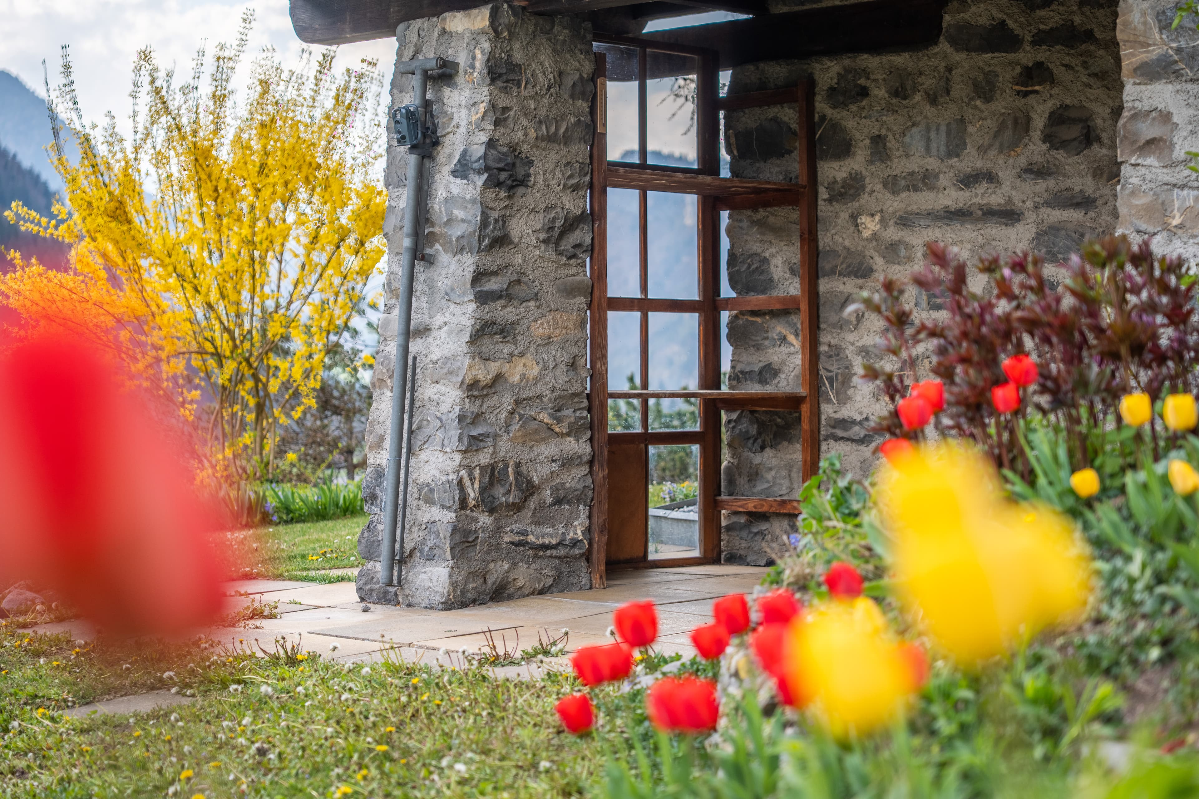 Rickys Immobilien - Immobilienagentur in Chur