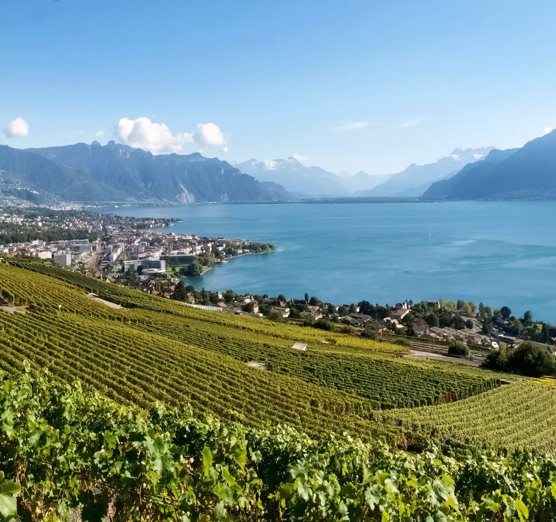 BC IMMO - Lausanne - Agence immobilière à Lausanne