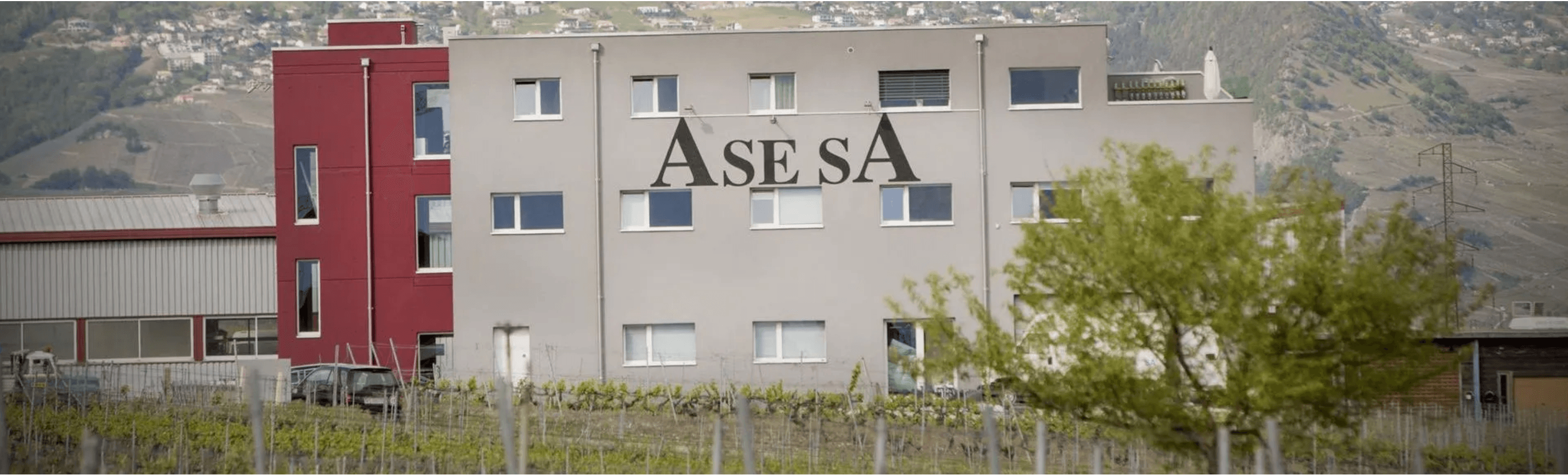 ASE SA - Immobilienagentur in Chamoson