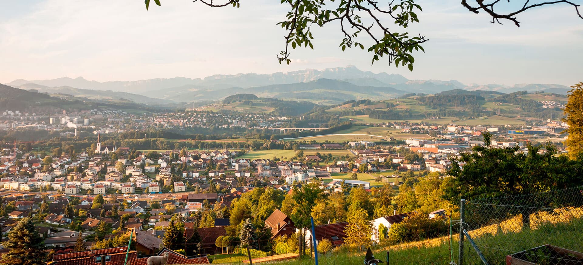 DICASA Immo Fürstenland GmbH - Immobilienagentur in Gossau