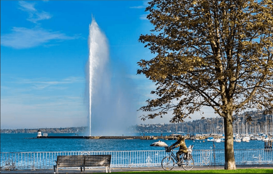 D&S Real Estate - Real Estate Agency in Genève