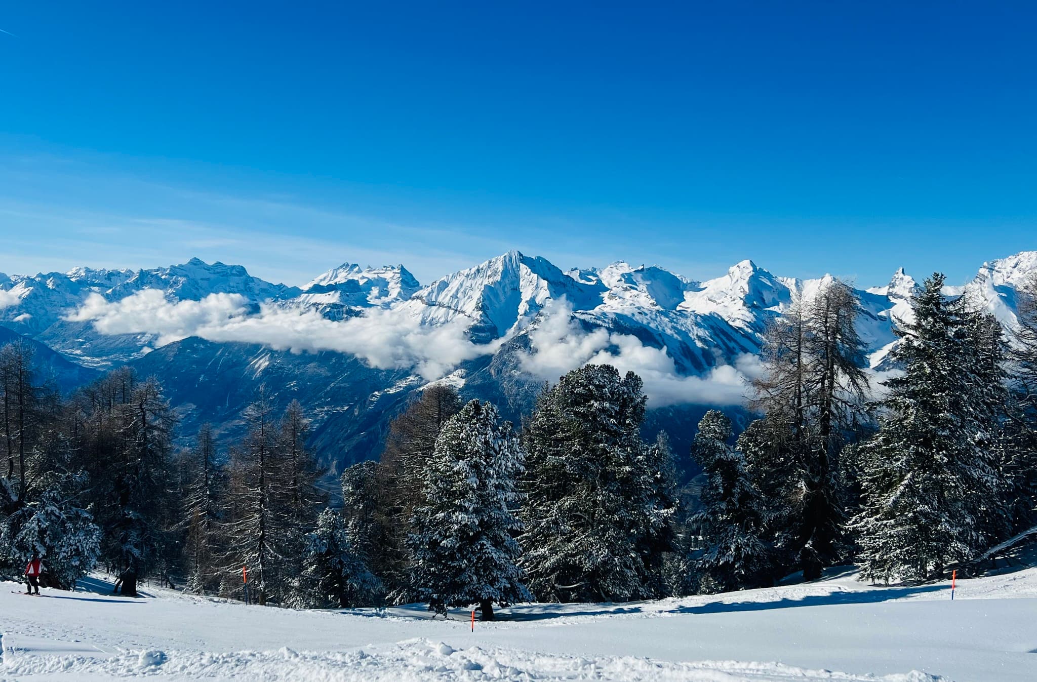 EV Real Estate - Real Estate Agency in Nendaz