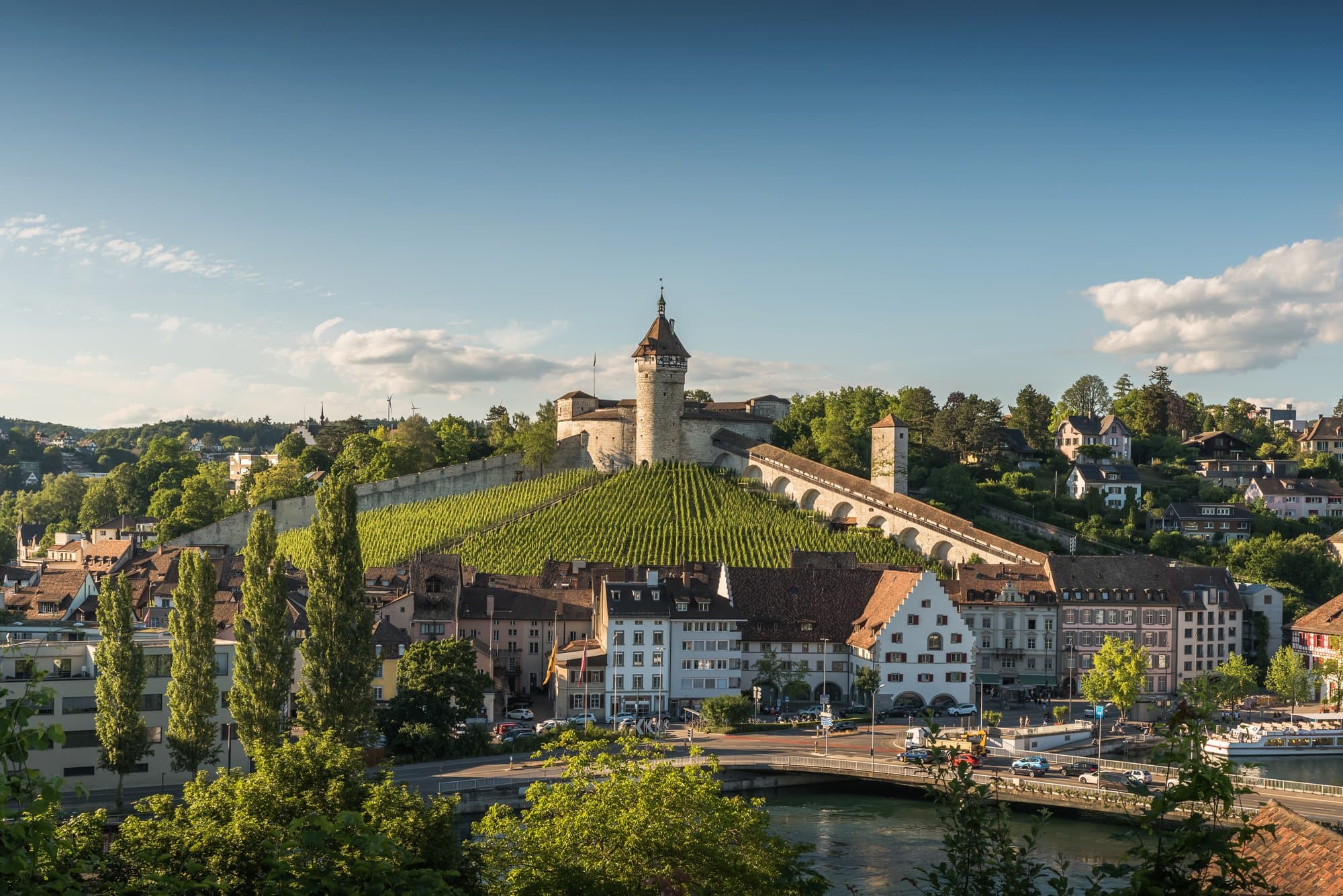 FREITAG IMMO - Immobilienagentur in Flurlingen