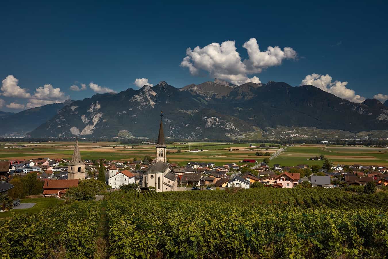 Immo Glad Sàrl - Immobilienagentur in Vionnaz