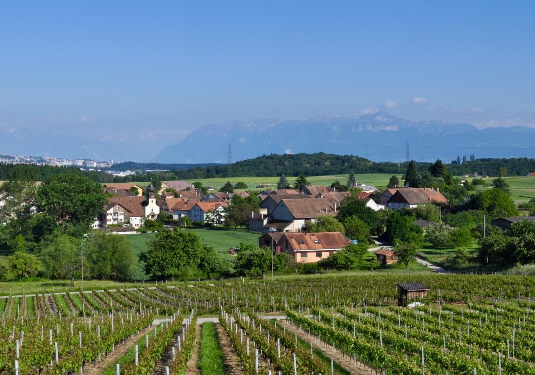 JFR Immobilier - Immobilienagentur in Echandens