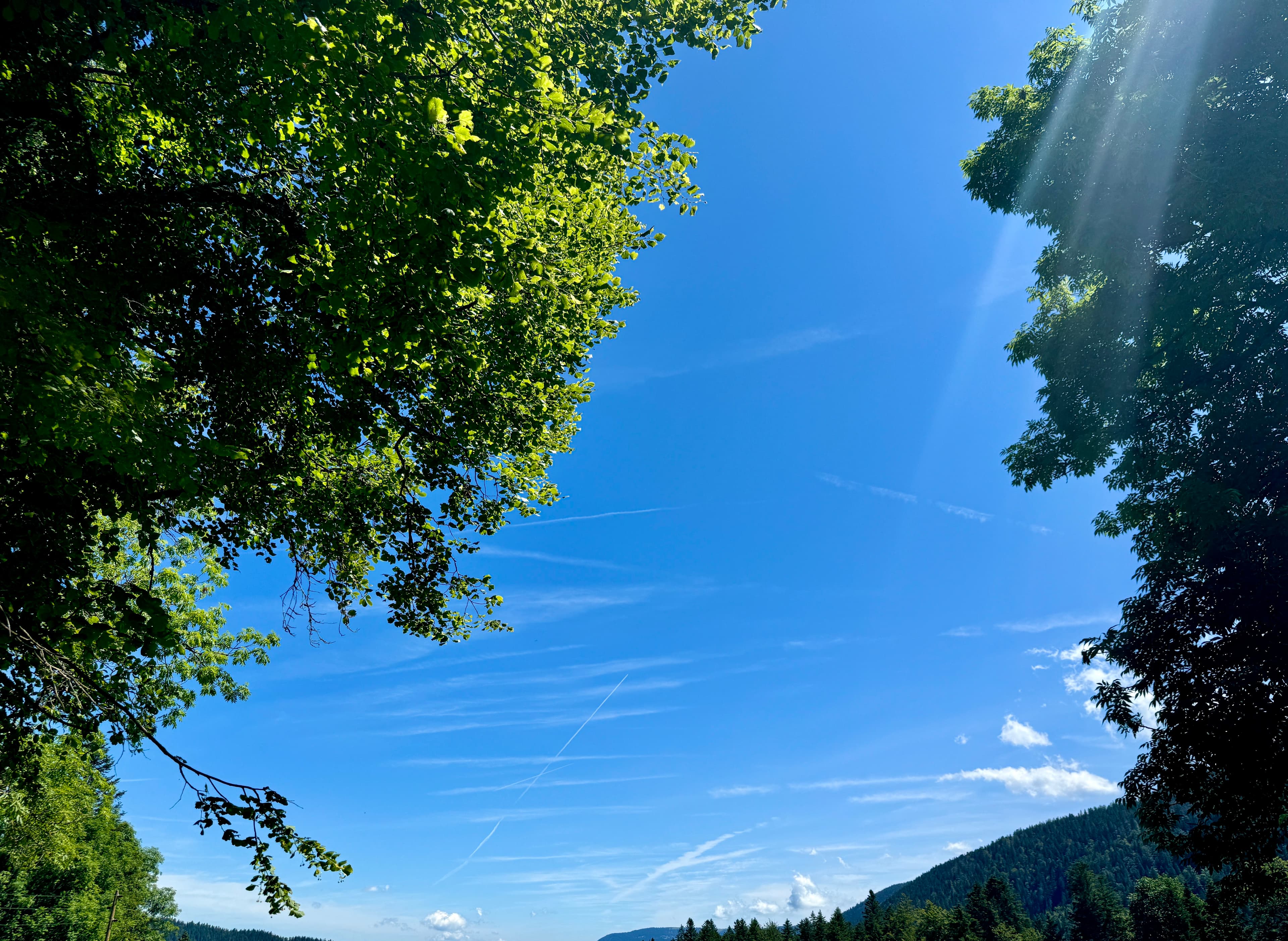 Pro Conseils - Immobilienagentur in Val-de-Travers