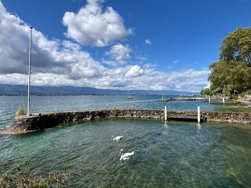FP Immobilier - Immobilienagentur in Hermance