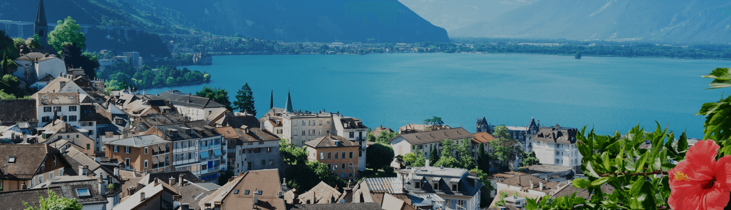 HSI Home Service Immobilier - Real Estate Agency in Vionnaz