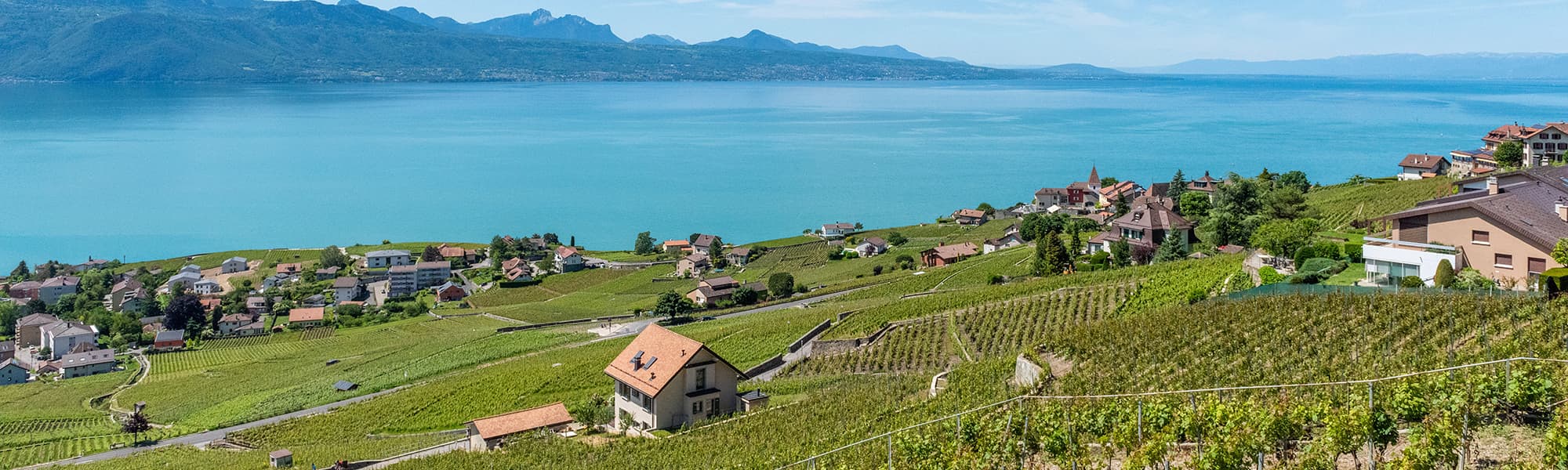 Horeca Courtage - Immobilienagentur in Jorat-Mézières