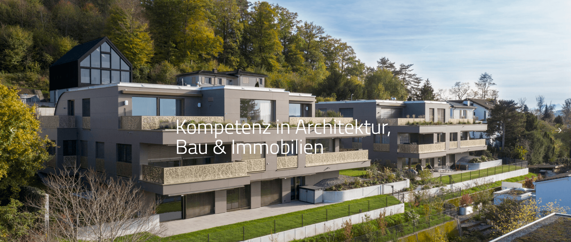 Renato Trevissoi  - Immobilienmakler in Zürich