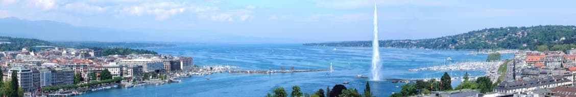 Millenium Properties - Immobilienagentur in Genève