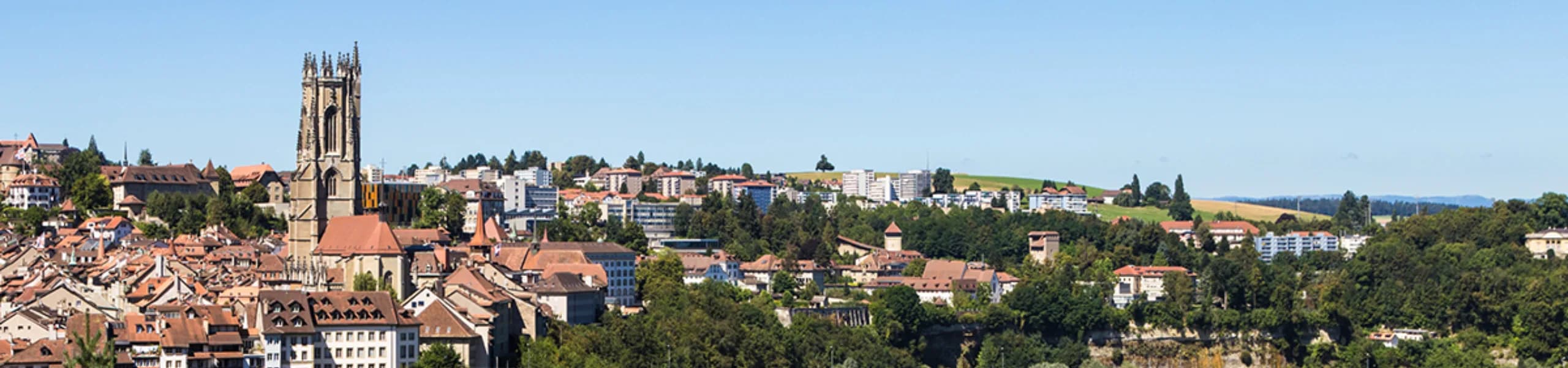 RE/MAX Fribourg - Real Estate Agency in Fribourg