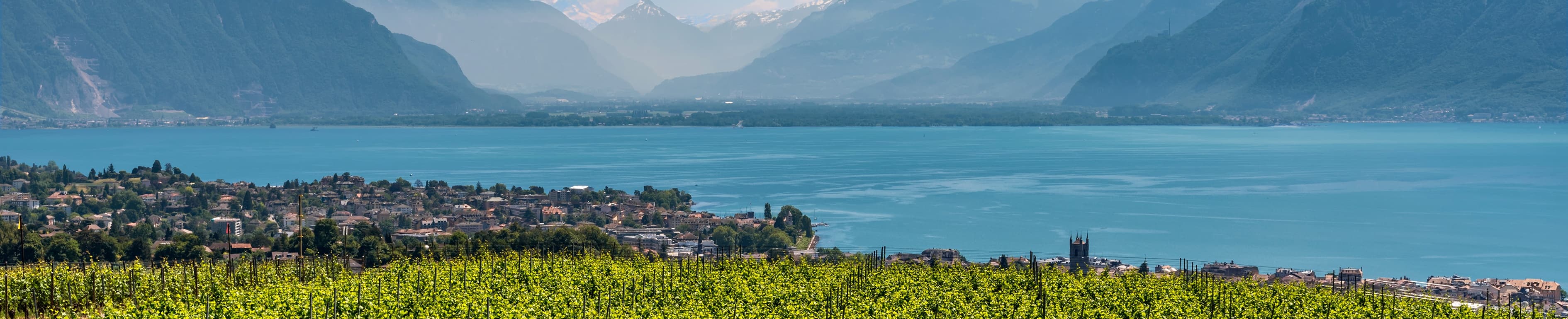 Naef Prestige | Knight Frank – Riviera - Agenzia Immobiliare a Vevey