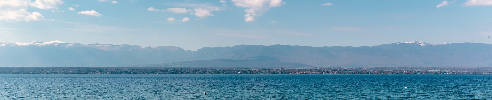 GRANGE Immobilier - Immobilienagentur in Genève