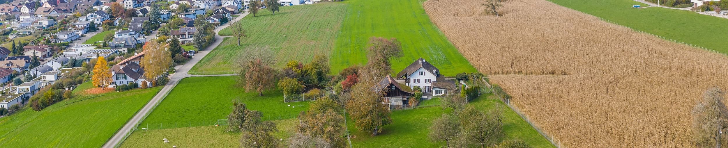 Simone Odermatt - Immobilienmakler in Rotkreuz