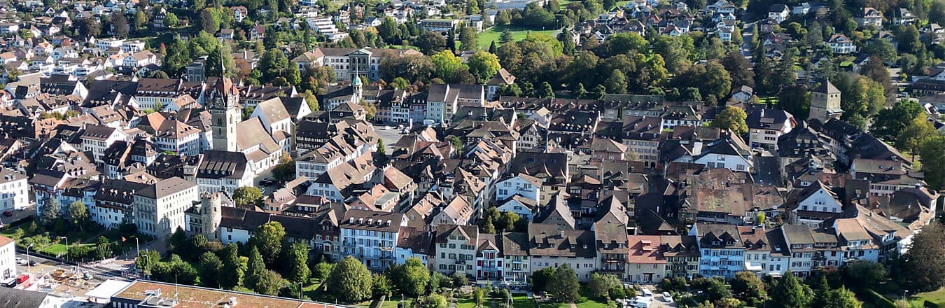 Schneider Immobilien GmbH Zofingen - Immobilienagentur in Zofingen