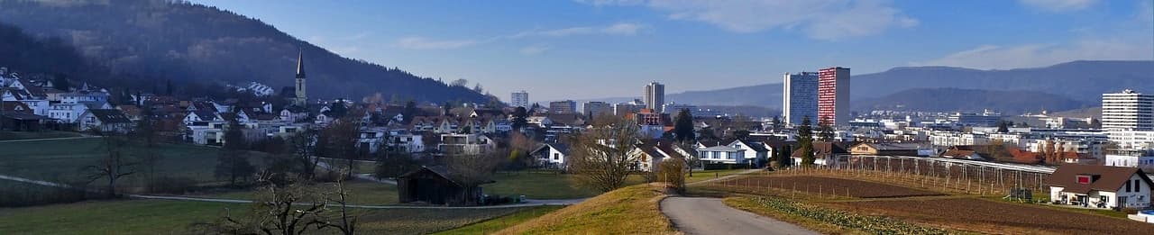 bumbacher immobilien gmbh - Agence immobilière à Spreitenbach
