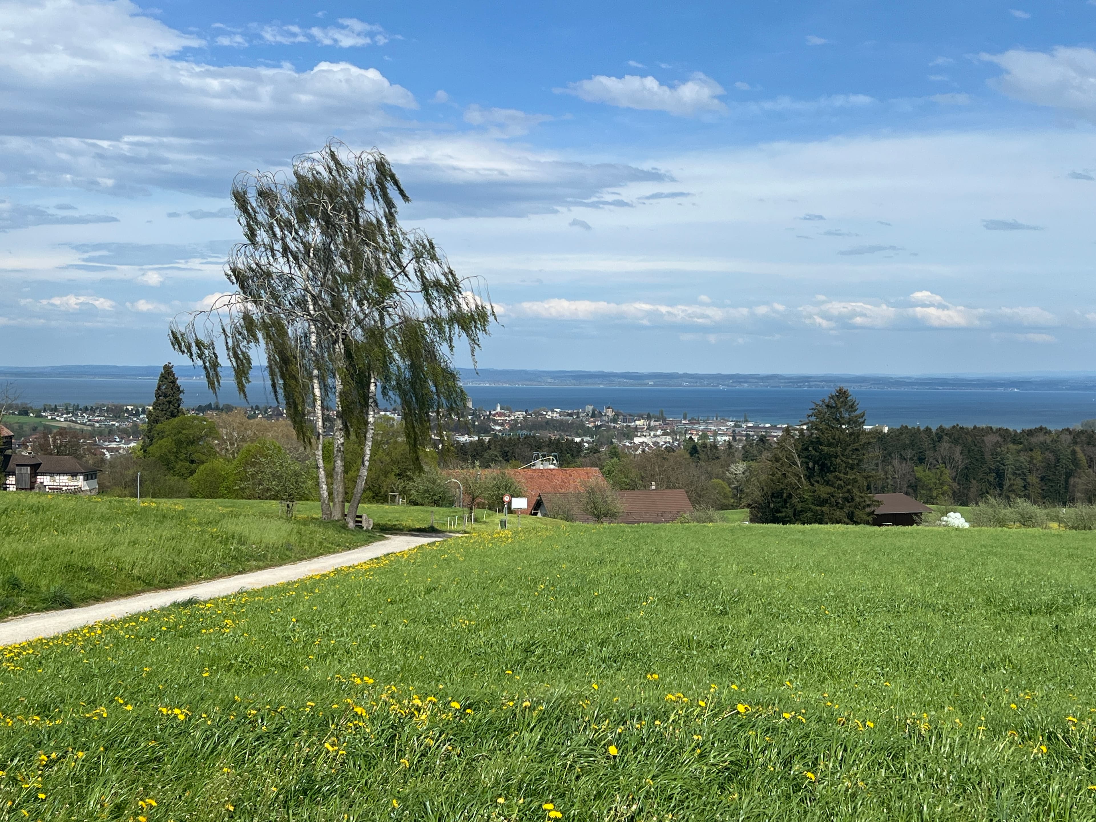 imonovum ag - Agence immobilière à Horn