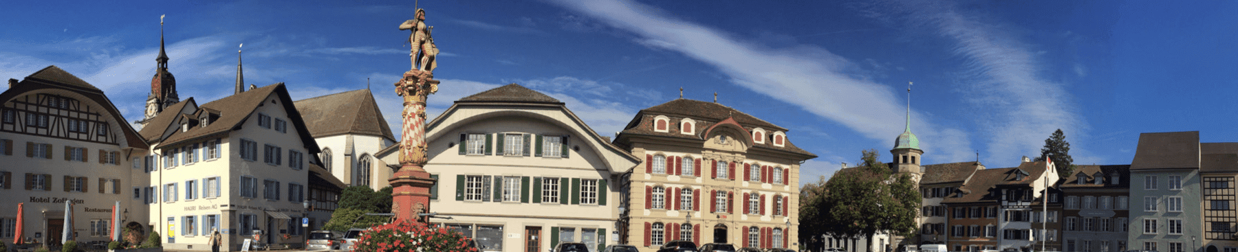 HAMA Immobilien - Agence immobilière à Zofingen