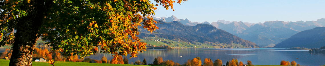 Markus von Allmen - Real Estate Agent in Einsiedeln