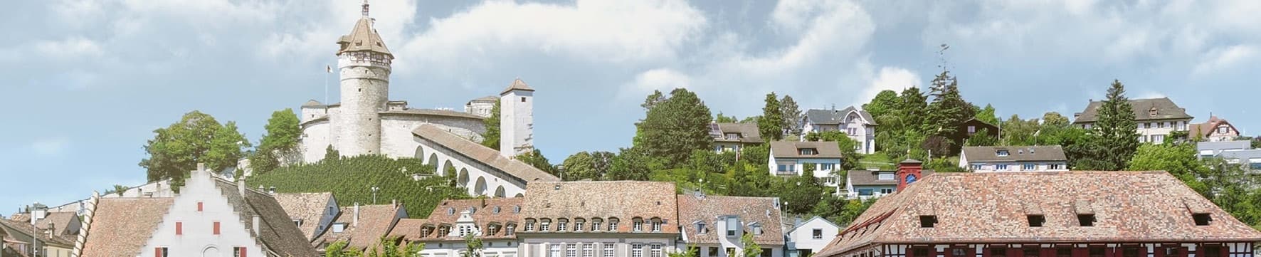 IT3 Immobilien + Treuhand AG Schaffhausen - Real Estate Agency in Schaffhausen