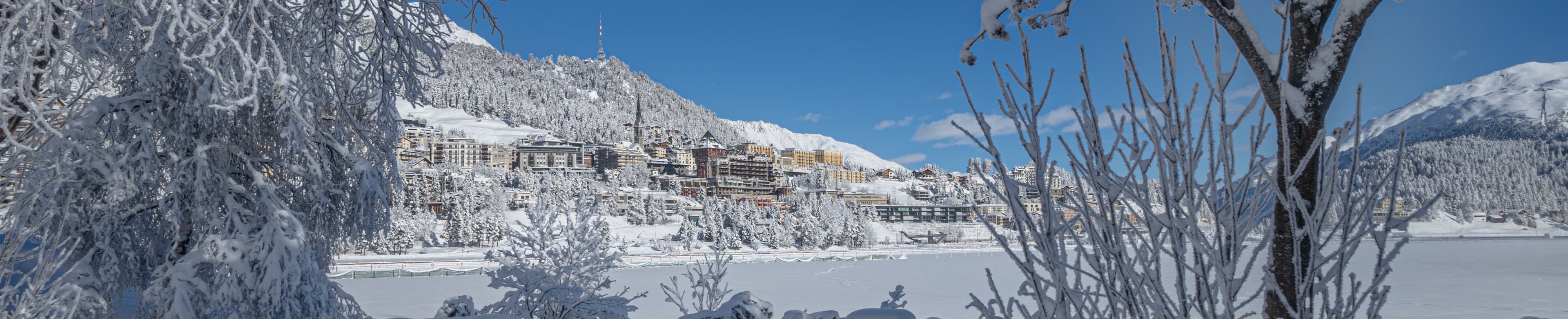 Maximilian Stamm - Real Estate Agent in St. Moritz