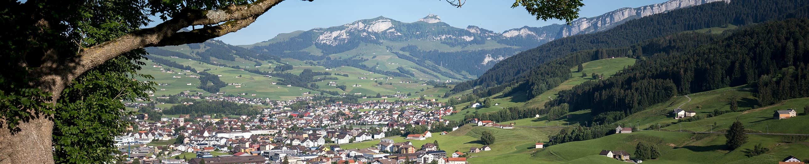 Reto Mock - Courtier immobilier à Appenzell