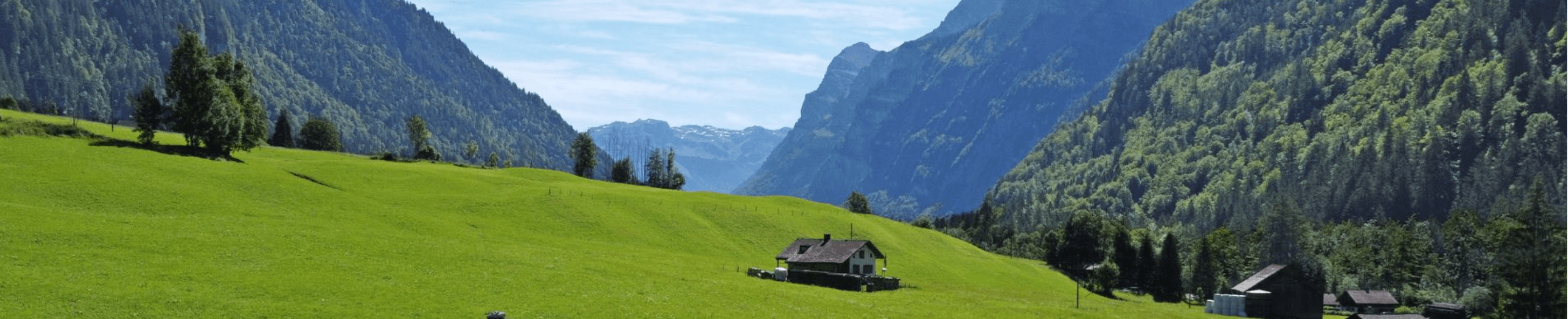 Schnyder VST Immobilien AG - Agence immobilière à Netstal
