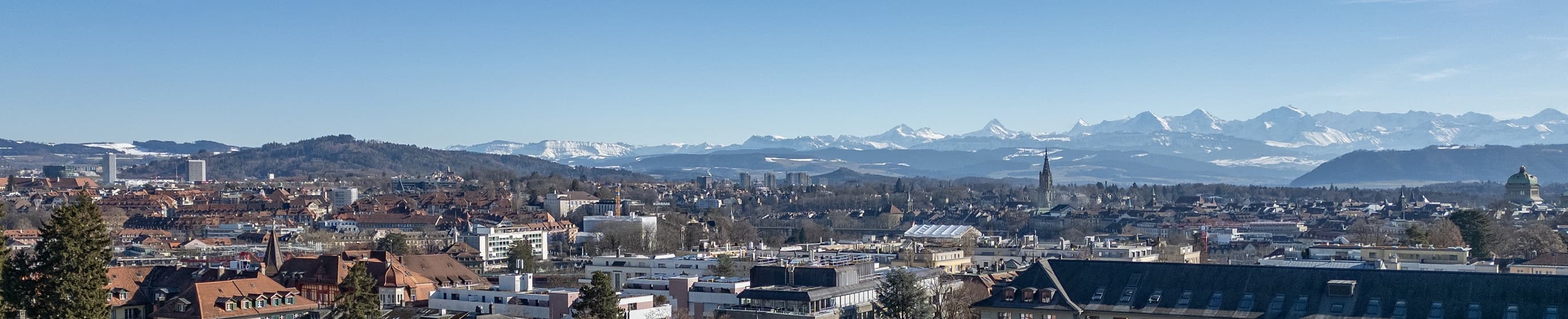 doma Real Estate AG - Agenzia Immobiliare a Muri bei Bern