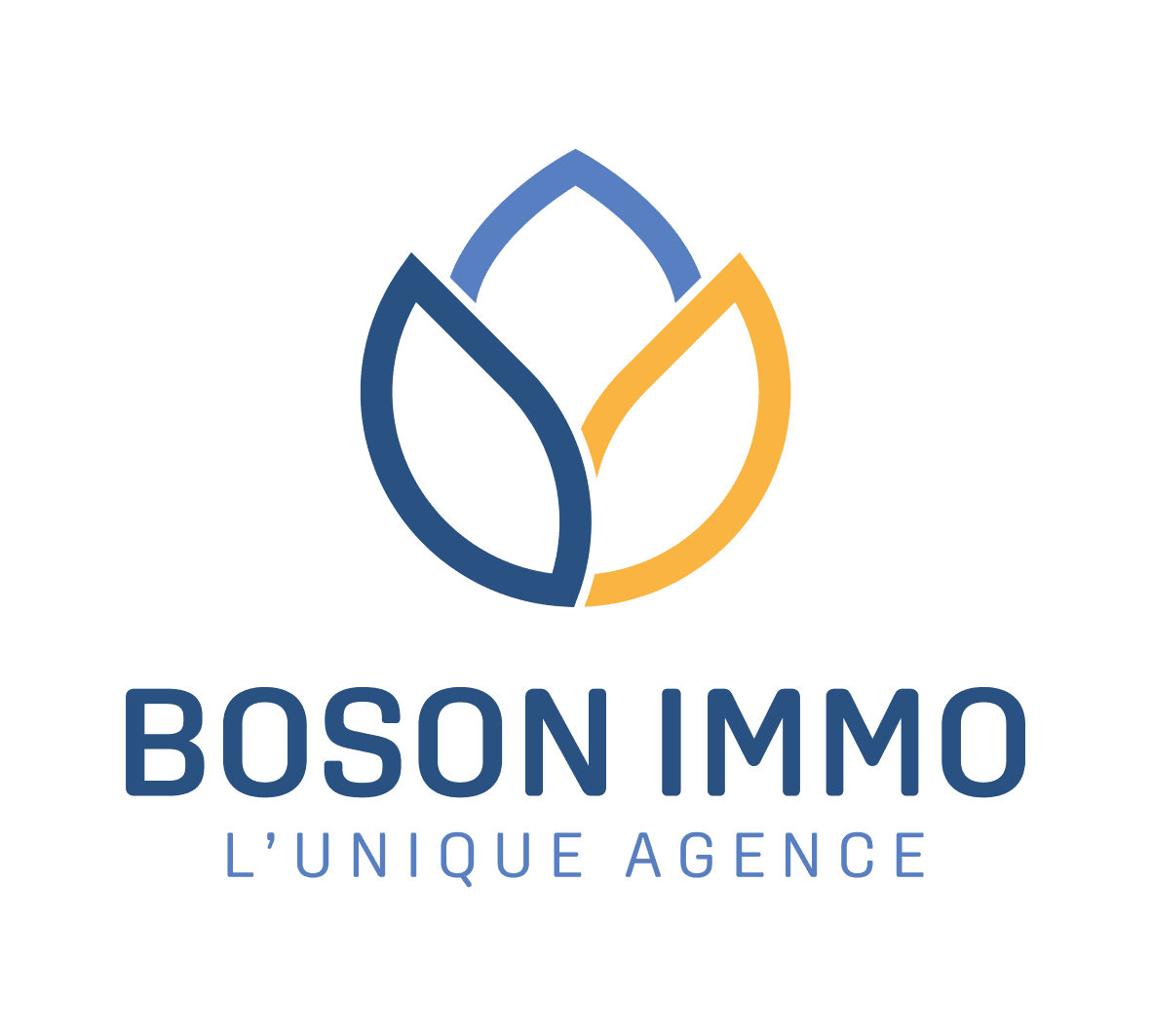 Boson Immo