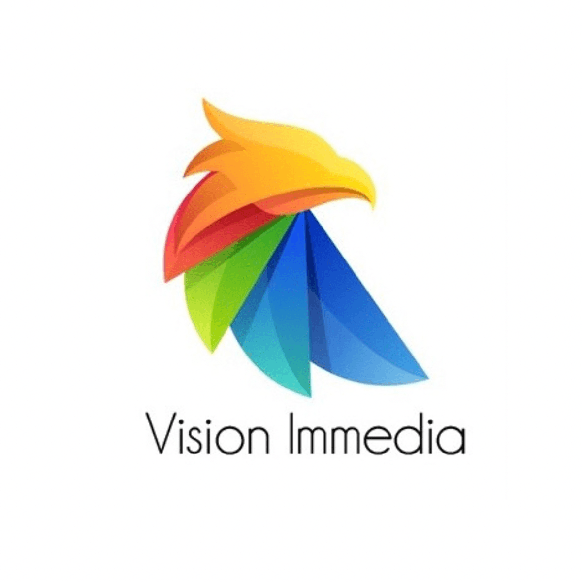 Vision Immedia