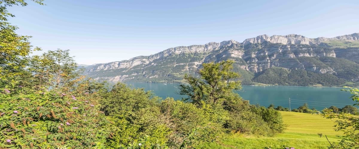 Patrick Ackermann - Agente Immobiliare a Mels