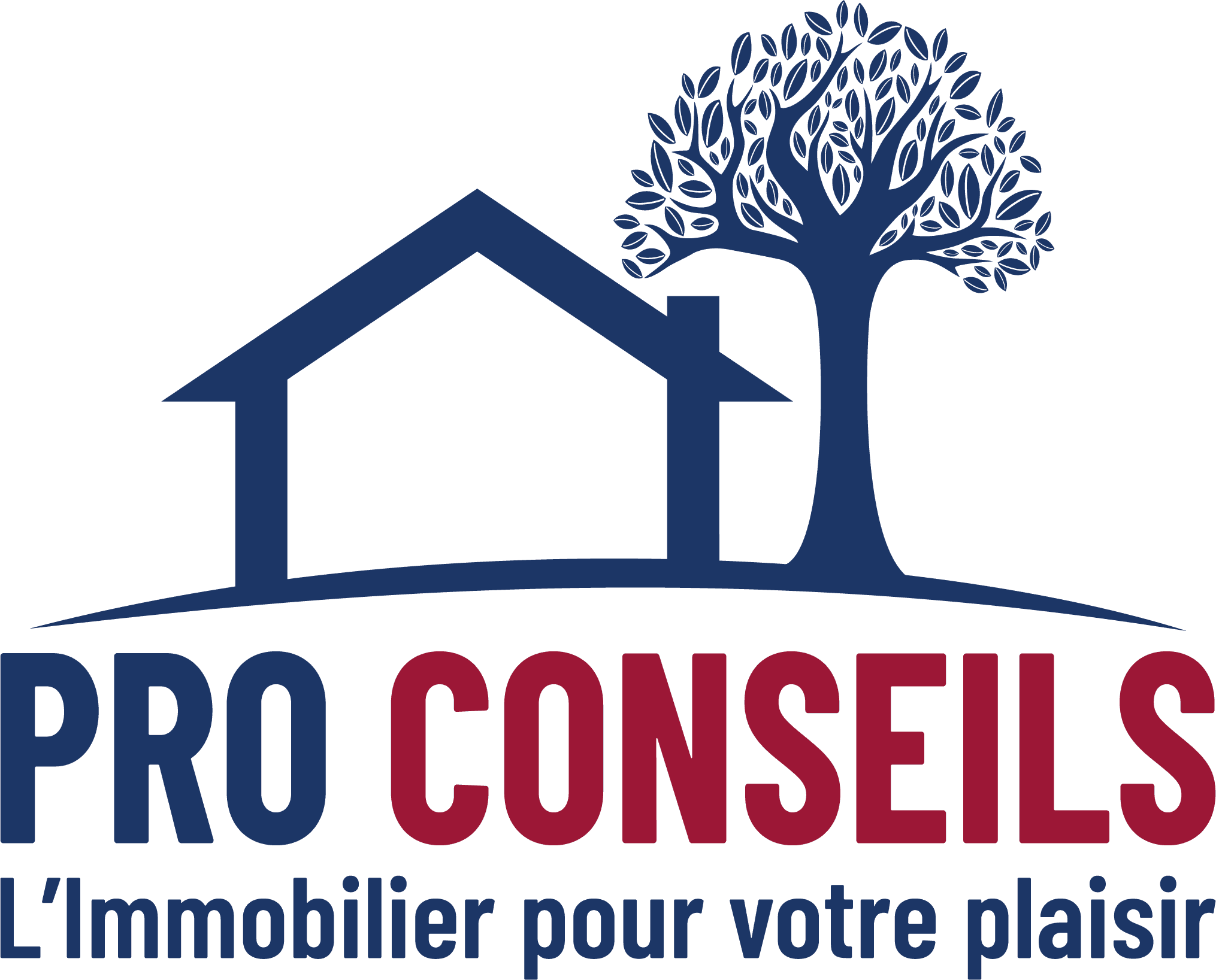 Pro Conseils