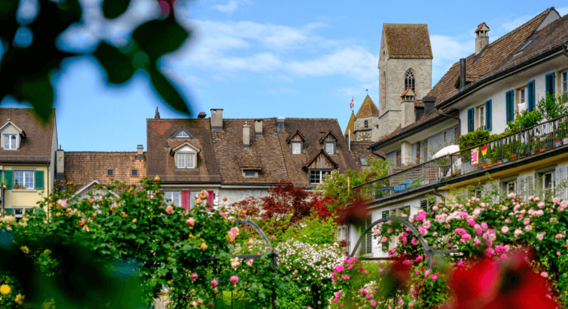 Smago Immobilien GmbH Rapperswil Jona - Immobilienagentur in Rapperswil-Jona