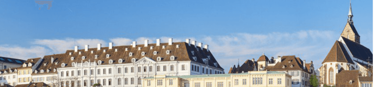 Patrick Grieder - Agente Immobiliare a Basel