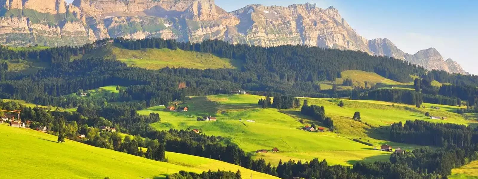 TFP Treuhand AG - Immobilienagentur in Appenzell