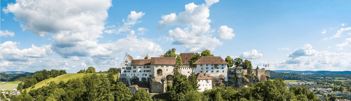 Shqipe Delija - Immobilienmakler in Schafisheim