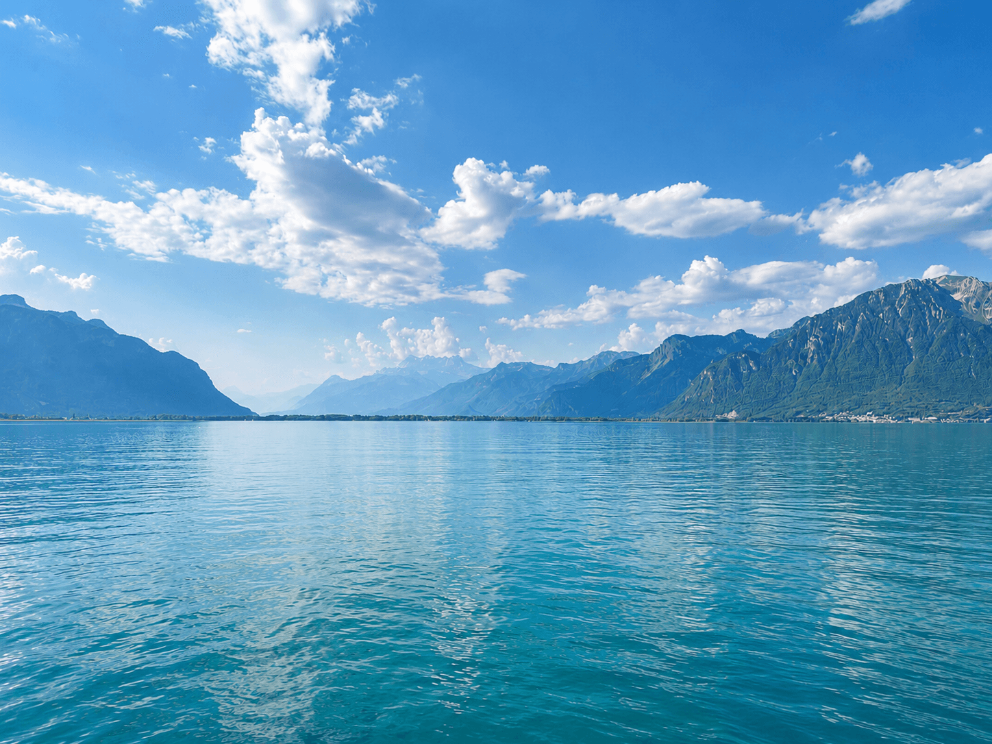 FOTI Immobilier - Agenzia Immobiliare a Monthey