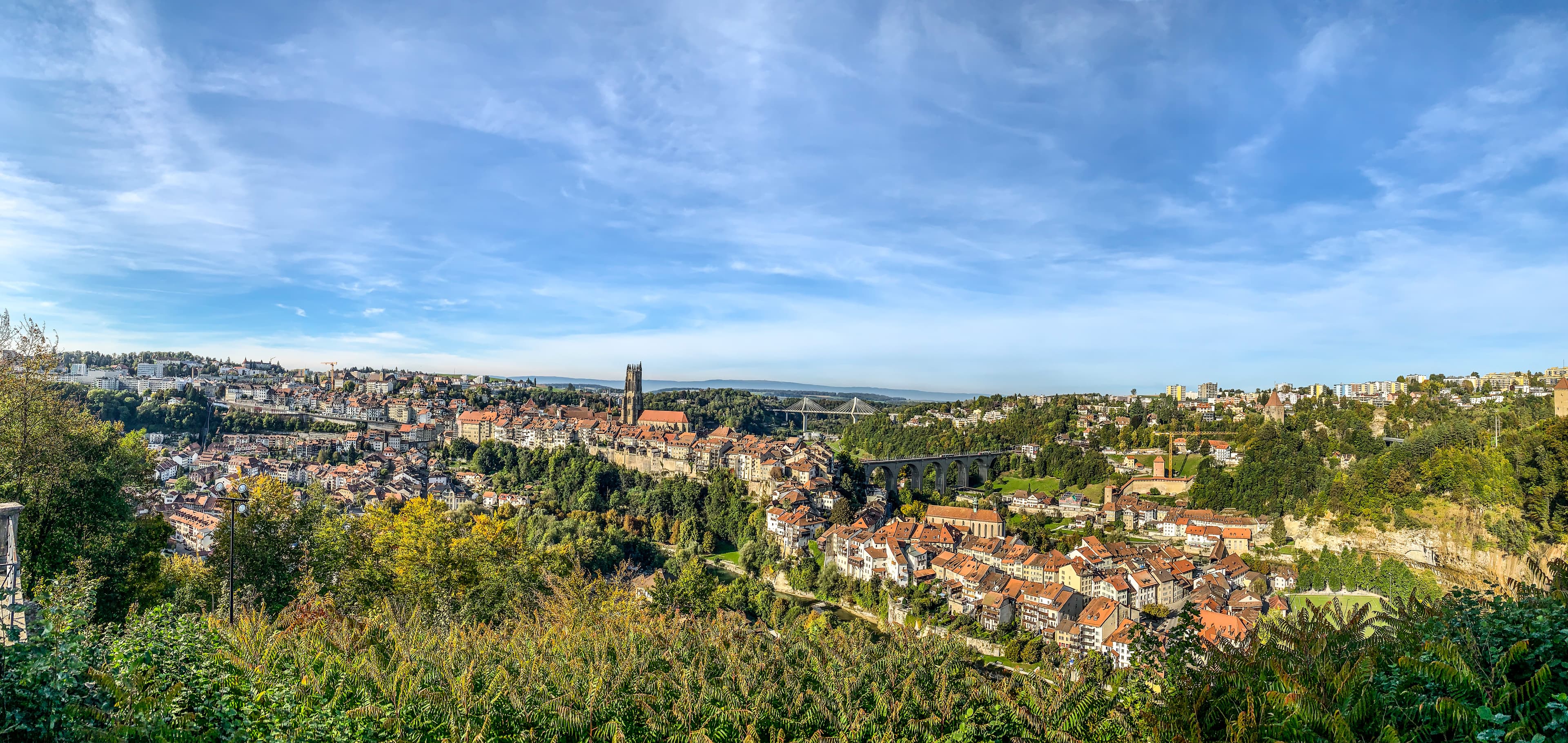 Itala Gonçalves - Real Estate Agent in Fribourg