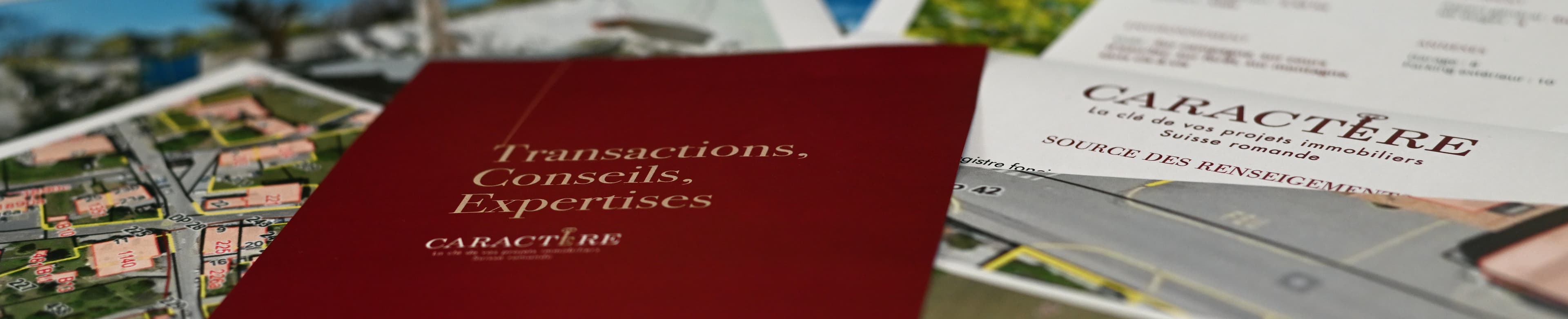 Caractère Immobilier - Agence immobilière à Arzier-Le Muids