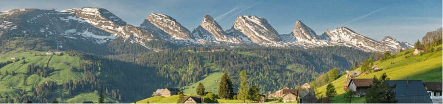 RE/MAX Immobilien in Nesslau - Agenzia Immobiliare a Nesslau