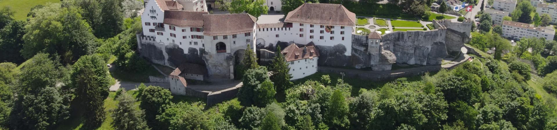 RE/MAX Immobilien Lenzburg - Agenzia Immobiliare a Lenzburg