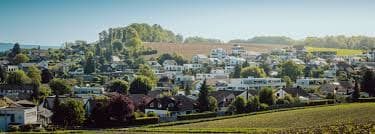 Roland Huber Immobilien AG - Agenzia Immobiliare a Islikon