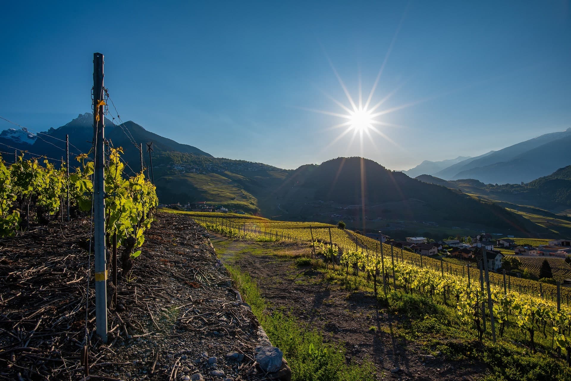 Alliance Immobilière Romande - Agence immobilière à Martigny