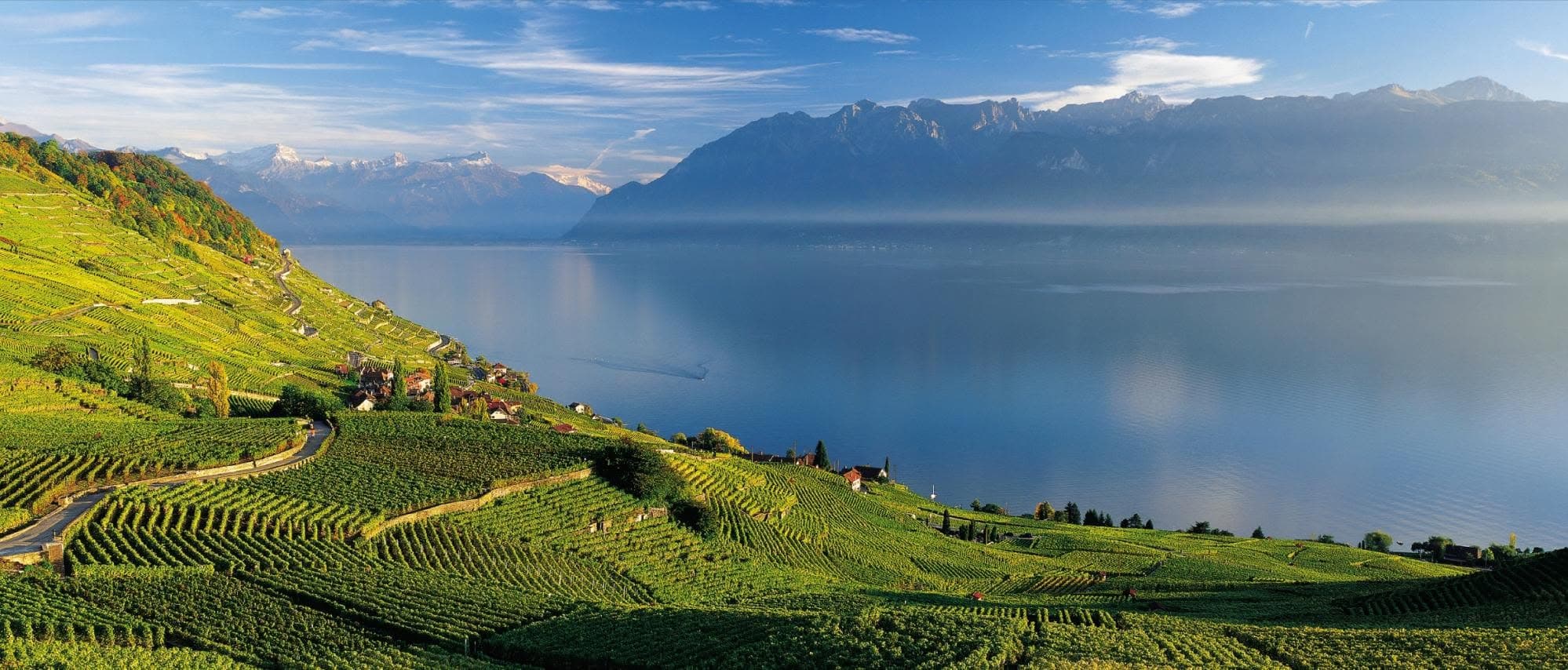 Immo-Consulting - Agenzia Immobiliare a Lutry
